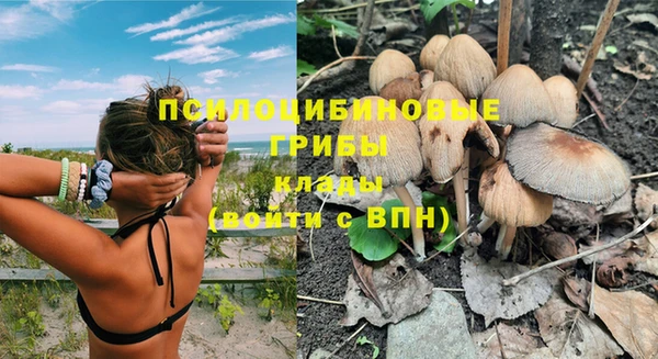 бошки Мегион