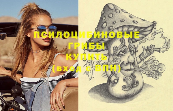 бошки Мегион