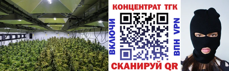закладка  Дивногорск  ТГК Wax 