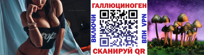 Псилоцибиновые грибы Cubensis  купить   Дивногорск 