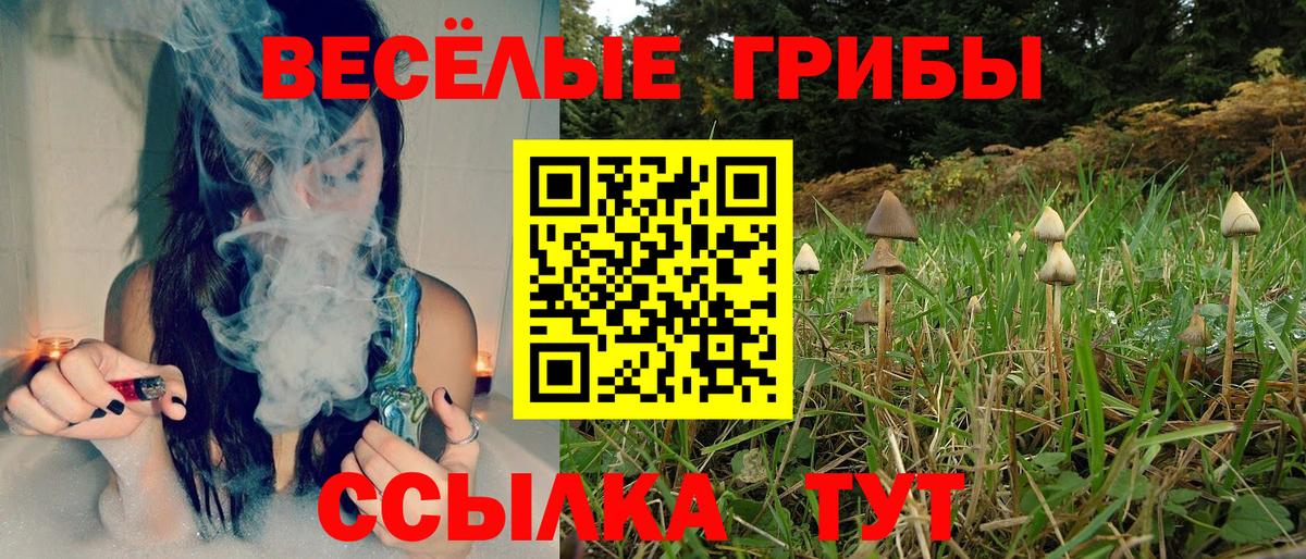 A PVP Дивногорск