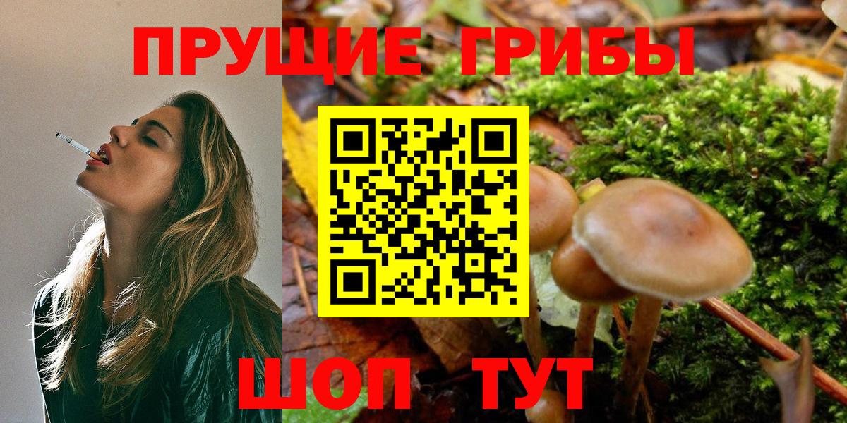 Псилоцибиновые грибы Psilocybine cubensis  Вход с VPN  Дивногорск 