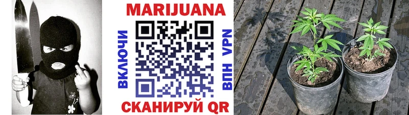 Марихуана Amnesia Дивногорск