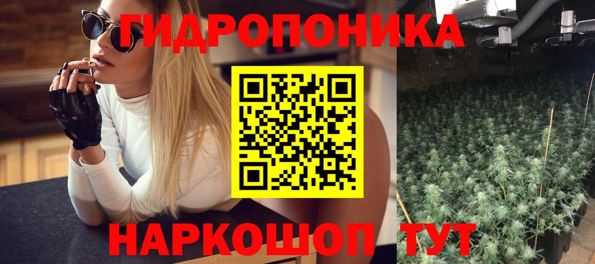 Альфа ПВП Дивногорск
